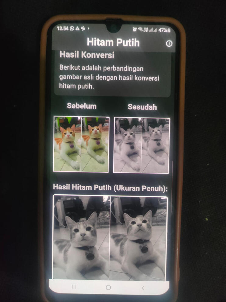 Halaman Utama (Hasil Konversi)